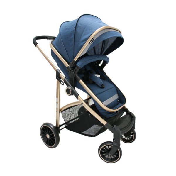 Coche cuna Moisés Carri Deluxe