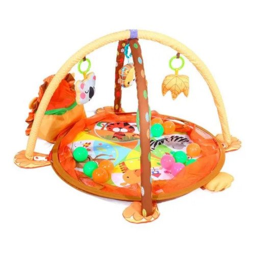 Gimnasio Pelotas León