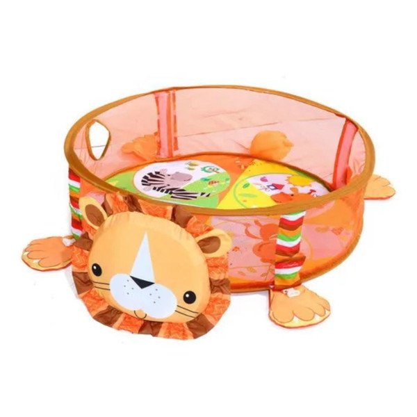 Gimnasio Pelotas León