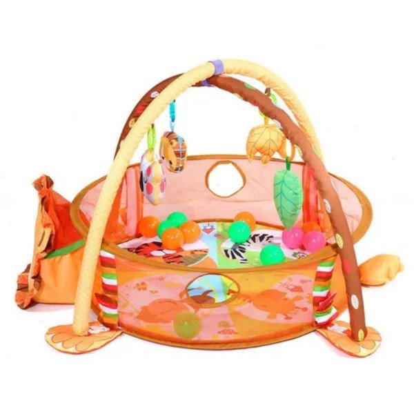 Gimnasio Pelotas León