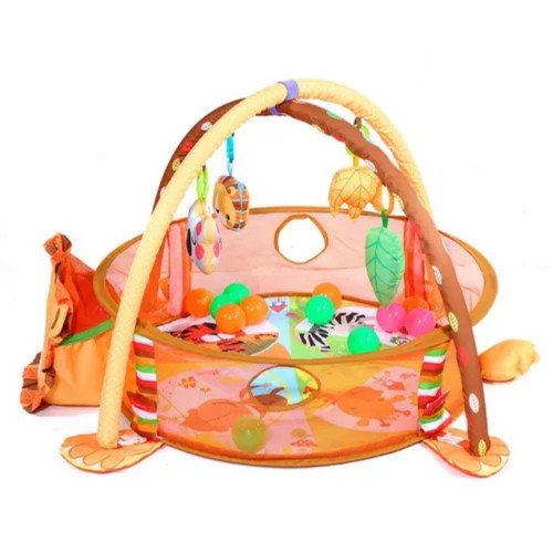 Gimnasio Pelotas León