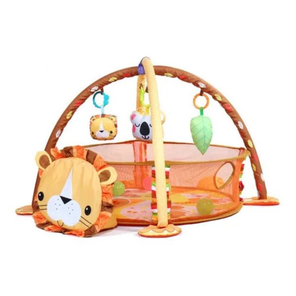 Gimnasio Pelotas León