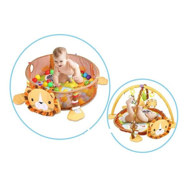 Gimnasio Pelotas León