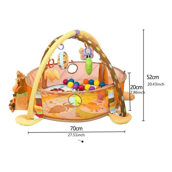 Gimnasio Pelotas León