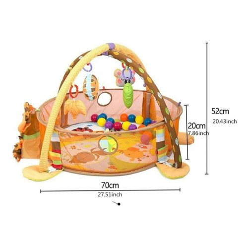 Gimnasio Pelotas León