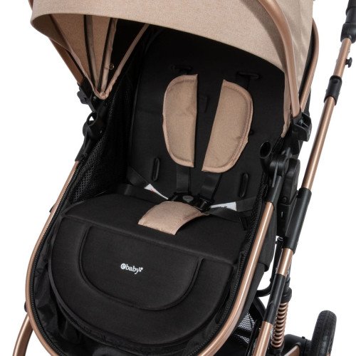 Coche Cuna Moises Confort